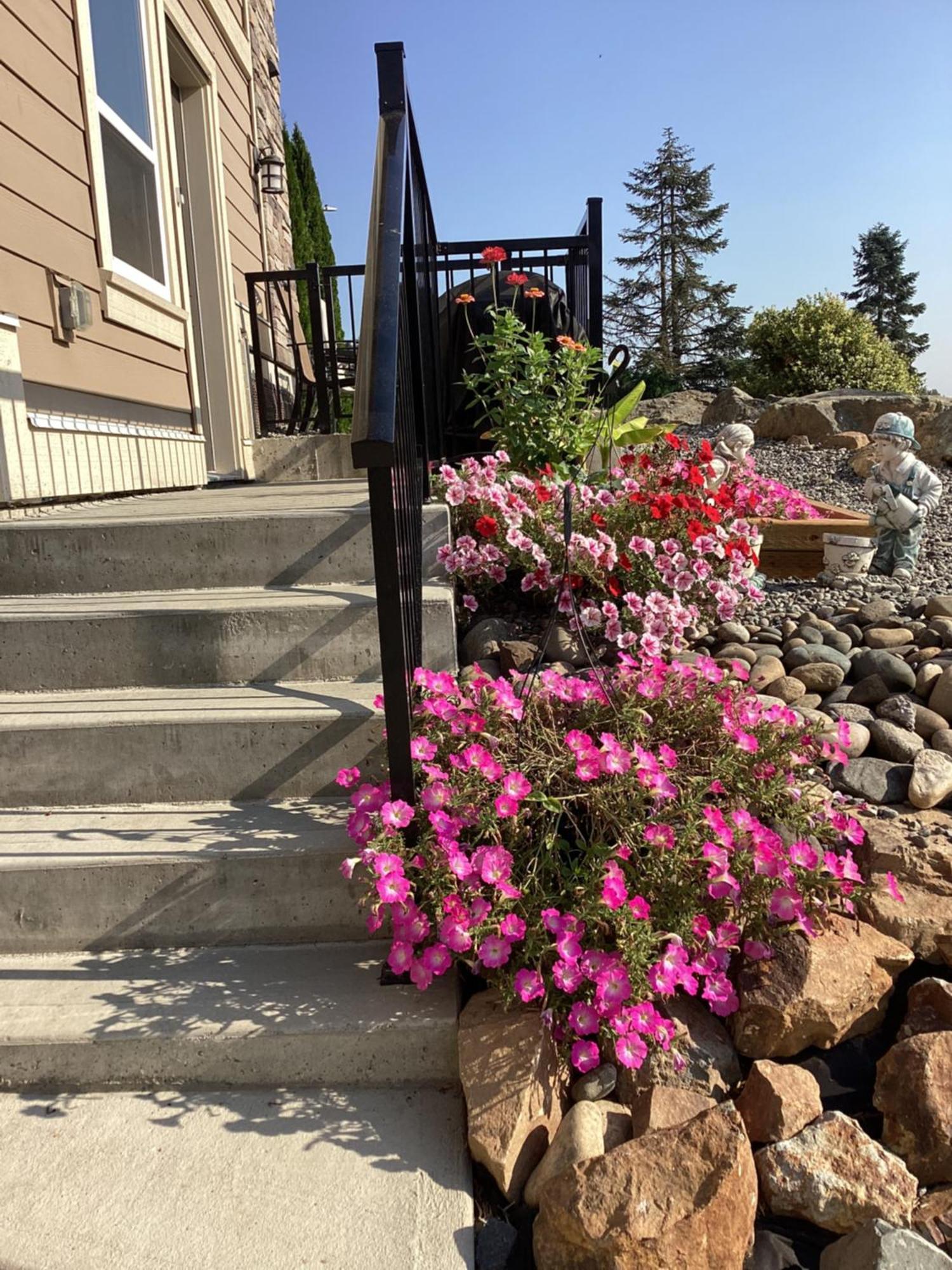 Mountain Retreat 3 Bedroom Garden House Near Heritage Park, Coliseum , Hwy 1, Fishing, Cultus Lake Чилливак Экстерьер фото